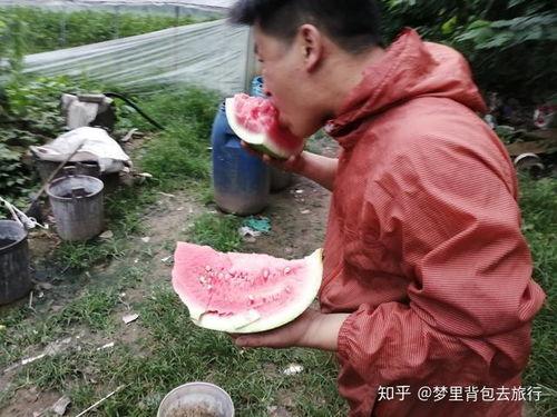 南昌吃瓜地摊 第2张 南昌吃瓜地摊 第2张