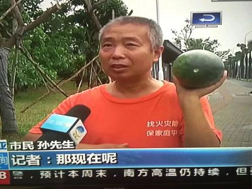 热门吃瓜事件视频观看,视频背后的真相与争议 第2张 热门吃瓜事件视频观看,视频背后的真相与争议 第2张