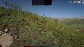 吃瓜卡bug,一场意外的游戏狂欢  第3张