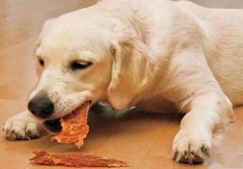 人吃瓜狗吃虫,揭秘人类与动物的不同饮食习惯  第3张