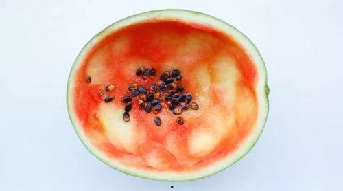 大无语吃瓜,揭秘娱乐圈那些让人哭笑不得的幕后故事 第2张 大无语吃瓜,揭秘娱乐圈那些让人哭笑不得的幕后故事 第2张