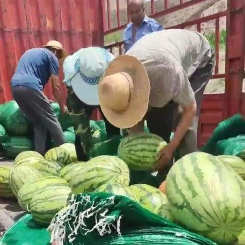 围观群众 除了吃瓜,吃瓜之余,探寻社会现象背后的真相 第3张 围观群众 除了吃瓜,吃瓜之余,探寻社会现象背后的真相 第3张