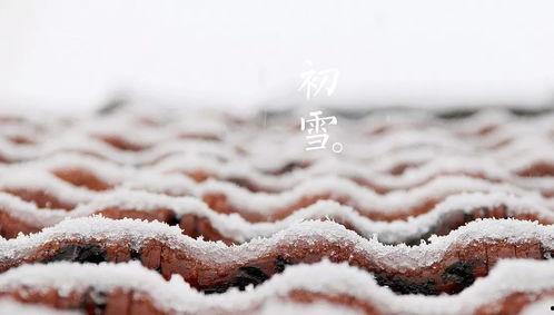 初雪吖111吃瓜,揭秘吃瓜背后的娱乐风云