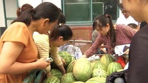 印度吃瓜群众帮忙,吃瓜群众助力揭秘热点事件背后的真相