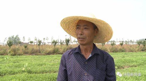 印度吃瓜群众帮忙,吃瓜群众助力揭秘热点事件背后的真相