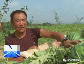 印度吃瓜群众帮忙,吃瓜群众助力揭秘热点事件背后的真相