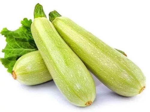 湖州吃瓜达人瓜姐是谁啊  第2张