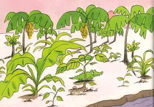 苏木吃瓜的故事简介,一场穿越时空的奇幻冒险之旅  第3张